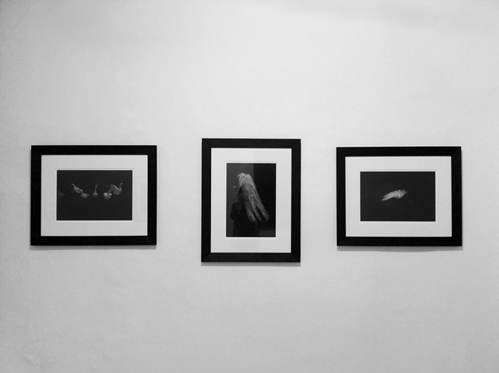exhibited works
